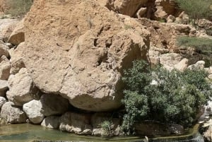 Von Muscat aus: Private Wadi Shab und Bimmah SinkHole Tour