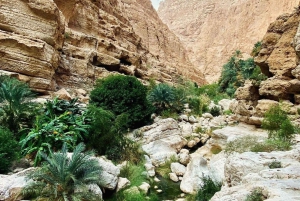 Au départ de Mascate : visite privée du Wadi Shab et du gouffre de Bimmah