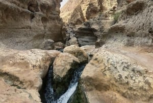 Von Muscat aus: Private Wadi Shab und Bimmah SinkHole Tour