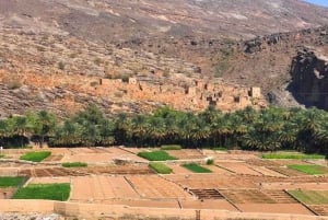 Escursione di un giorno a Jabal Shams, Wadi Nakhar, Misfat Al Abriyeen