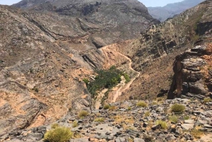 Day Trip to Wadi Bani Awf,Balad Sayt,Nakhal Fort-Hot Spring