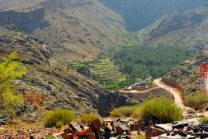 Day Trip to Wadi Bani Awf,Balad Sayt,Nakhal Fort-Hot Spring