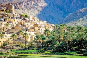 Day Trip to Wadi Bani Awf,Balad Sayt,Nakhal Fort-Hot Spring