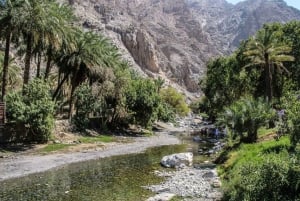 Day Trip to Wadi Bani Awf,Balad Sayt,Nakhal Fort-Hot Spring