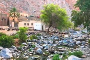 Day Trip to Wadi Bani Awf,Balad Sayt,Nakhal Fort-Hot Spring