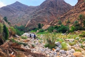 Excursion privée d'une journée à Wadi Hawir et Wahiba Sands