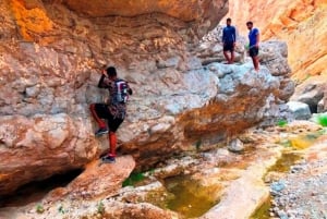 Excursión de un día privada a Wadi Hawir y Arenas de Wahiba