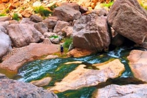 Private Day Trip to Wadi Hawir & Wahiba Sands