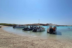 Mascate: Passeio de barco pelas ilhas Daymaniat com mergulho com snorkel