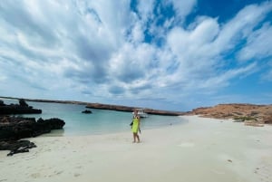 Daymaniat Islands Snorkeling Trip