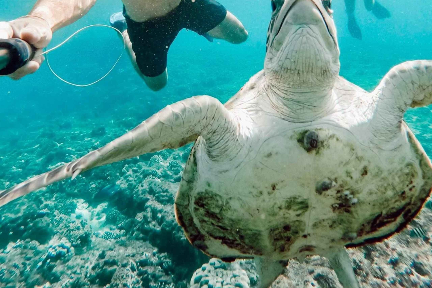 Daymaniat Journey: Group Tour with Snorkeling