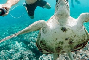 Daymaniat Journey: Group Tour with Snorkeling