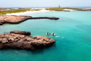 Daymaniat Journey: Group Tour with Snorkeling