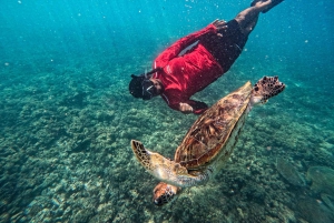 Daymaniat Journey: Group Tour with Snorkeling