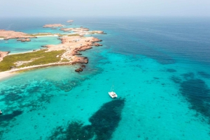 Daymaniat Journey: Group Tour with Snorkeling