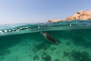 Daymaniat Journey: Group Tour with Snorkeling