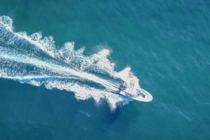 رحلة الغوص في الديمانيات