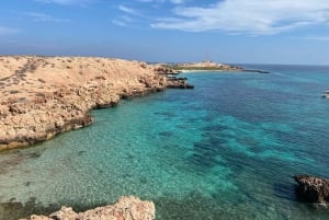 رحلة الغوص في الديمانيات