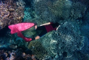 Snorkling på Daymaniyatöarna inklusive lunch