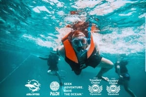 Gita di snorkeling alle Isole Daymaniyat con pranzo incluso