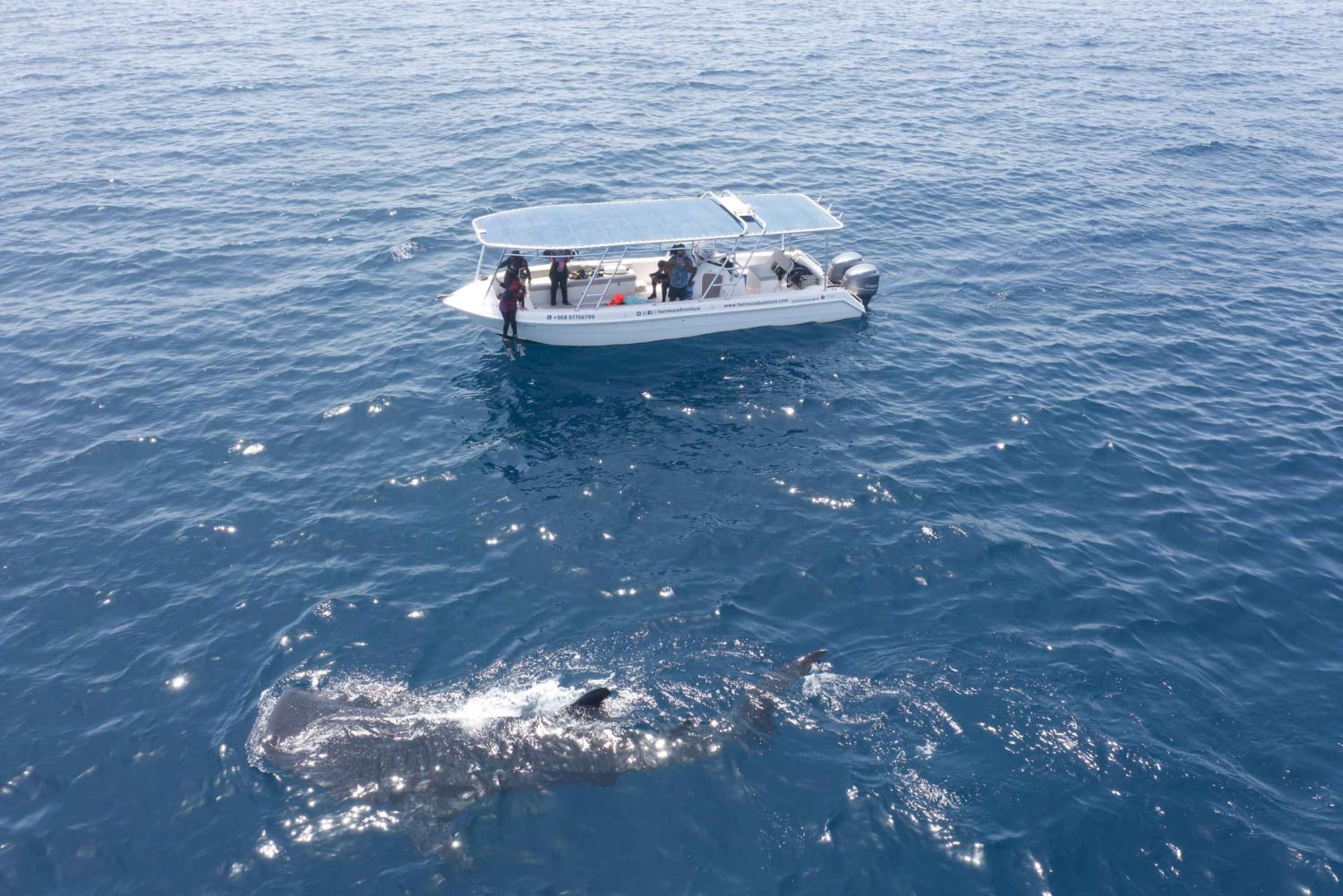 Snorkeling alle isole Daymaniyat con GoPro