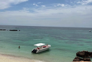 Snorkling med GoPro på Daymaniyat-øyene