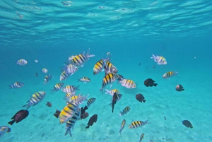 Snorkeling alle isole Daymaniyat con GoPro
