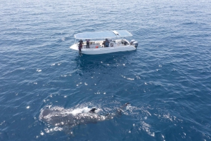 Snorkeling alle isole Daymaniyat con GoPro