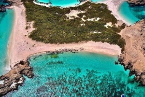 Snorkling ved Daymaniyat-øerne med picnic-frokost