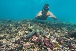 Daymaniyat islands: Visiting and snorkeling in Daymaniyat...