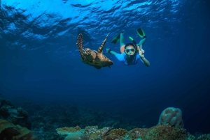 Daymaniyat Overnight Camping with Snorkeling and Beach BBQ