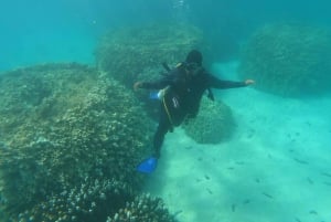 Daymaniyat Snorkeling Sharing tour with pick up and drop