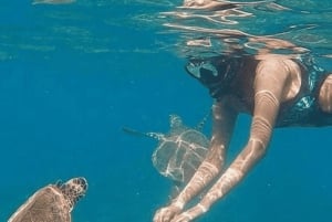 Daymaniyat Snorkeling Sharing tour with pick up and drop