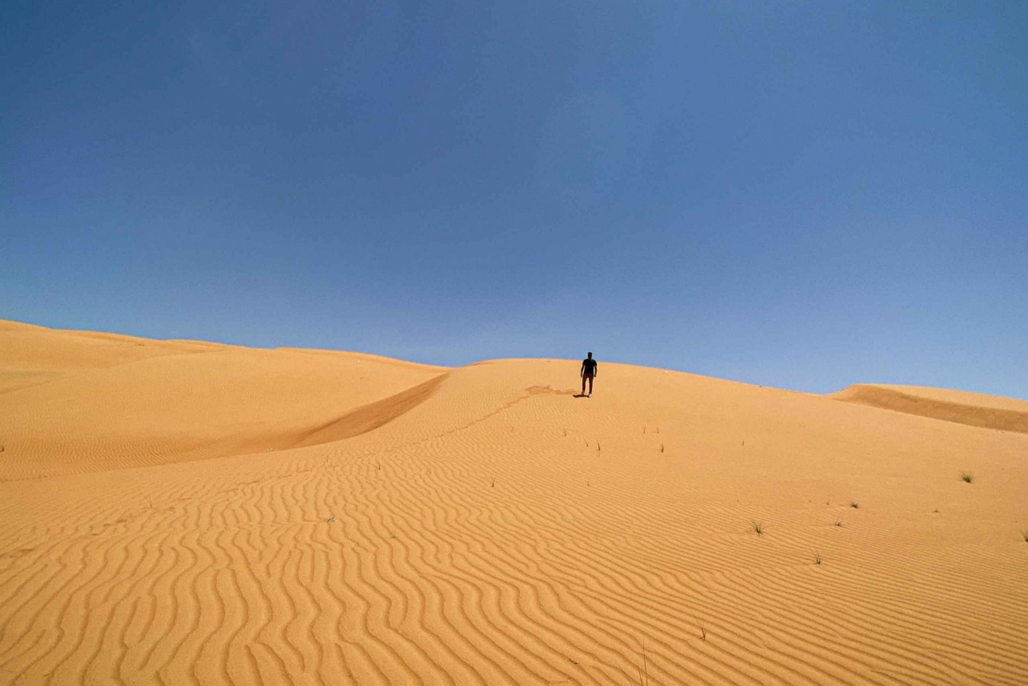 Muscat: Wahiba Sands Desert & Wadi Bani Khalid Full Day Tour