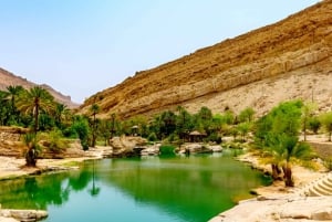 Muscat: Ganztagestour Wahiba Sands Wüste & Wadi Bani Khalid