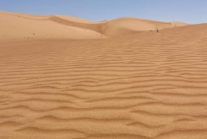 Muscat: Wahiba Sands ørken og Wadi Bani Khalid heldagstur