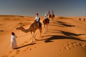 Experiência no deserto - Wahiba Sands e Wadi Bani Khalid