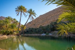 Von Muscat:Wahiba Sands & WadiBani Khalid Wüstenerlebnis