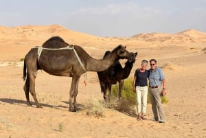 Safari nel deserto: Tour al tramonto del quartiere vuoto