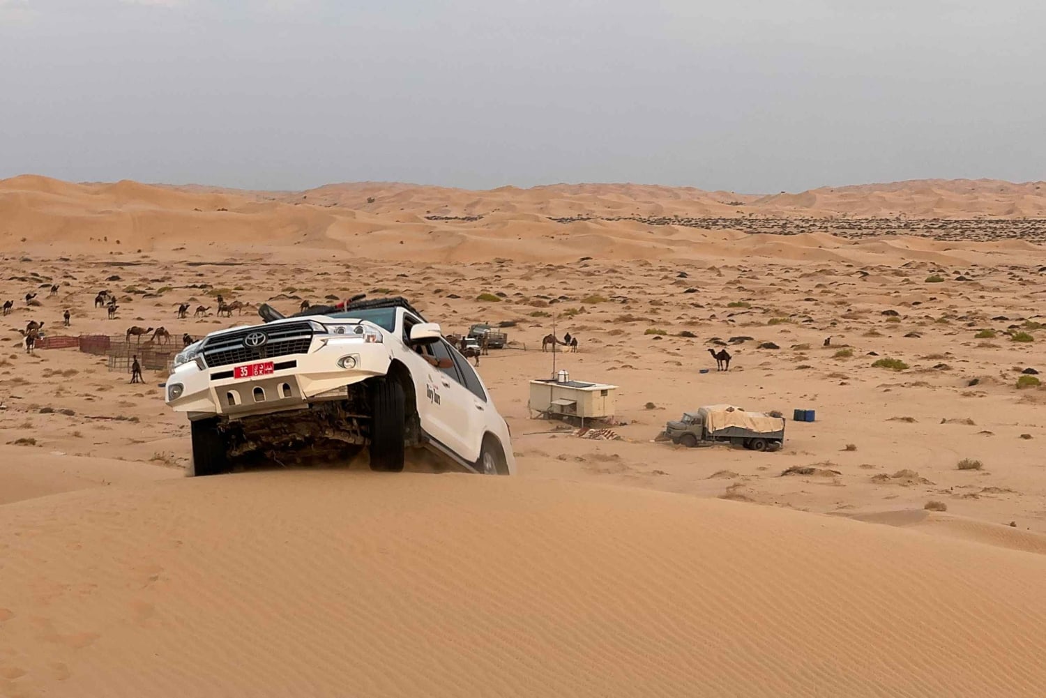 Safari nel deserto, tramonto e sand bashing (deserto di Rub Al Khali)