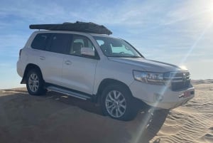 Safari nel deserto, tramonto e sand bashing (deserto di Rub Al Khali)