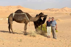 Safari nel deserto, tramonto e sand bashing (deserto di Rub Al Khali)