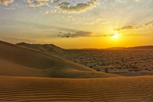 Safari nel deserto, tramonto e sand bashing (deserto di Rub Al Khali)