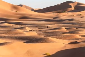 Safari nel deserto, tramonto e sand bashing (deserto di Rub Al Khali)