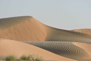 Safari por el desierto Puesta de sol