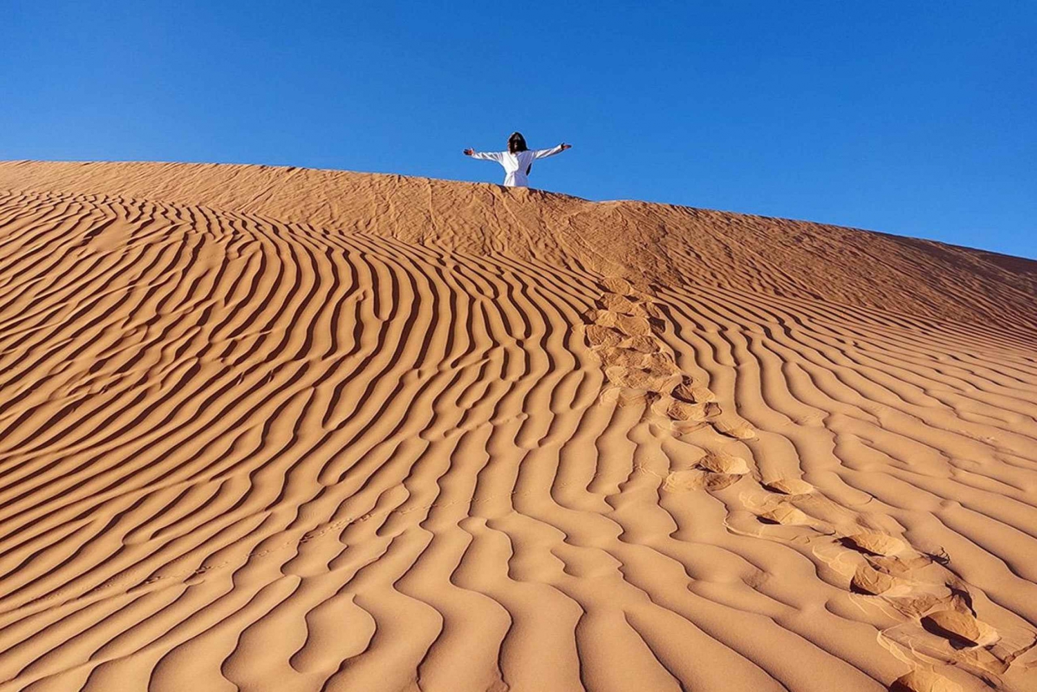 Safári no deserto com pôr do sol