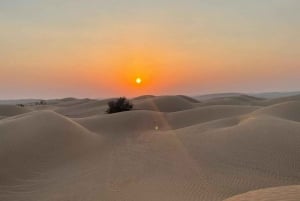 Woestijnsafari met zonsondergang
