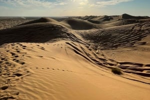 Safári no deserto