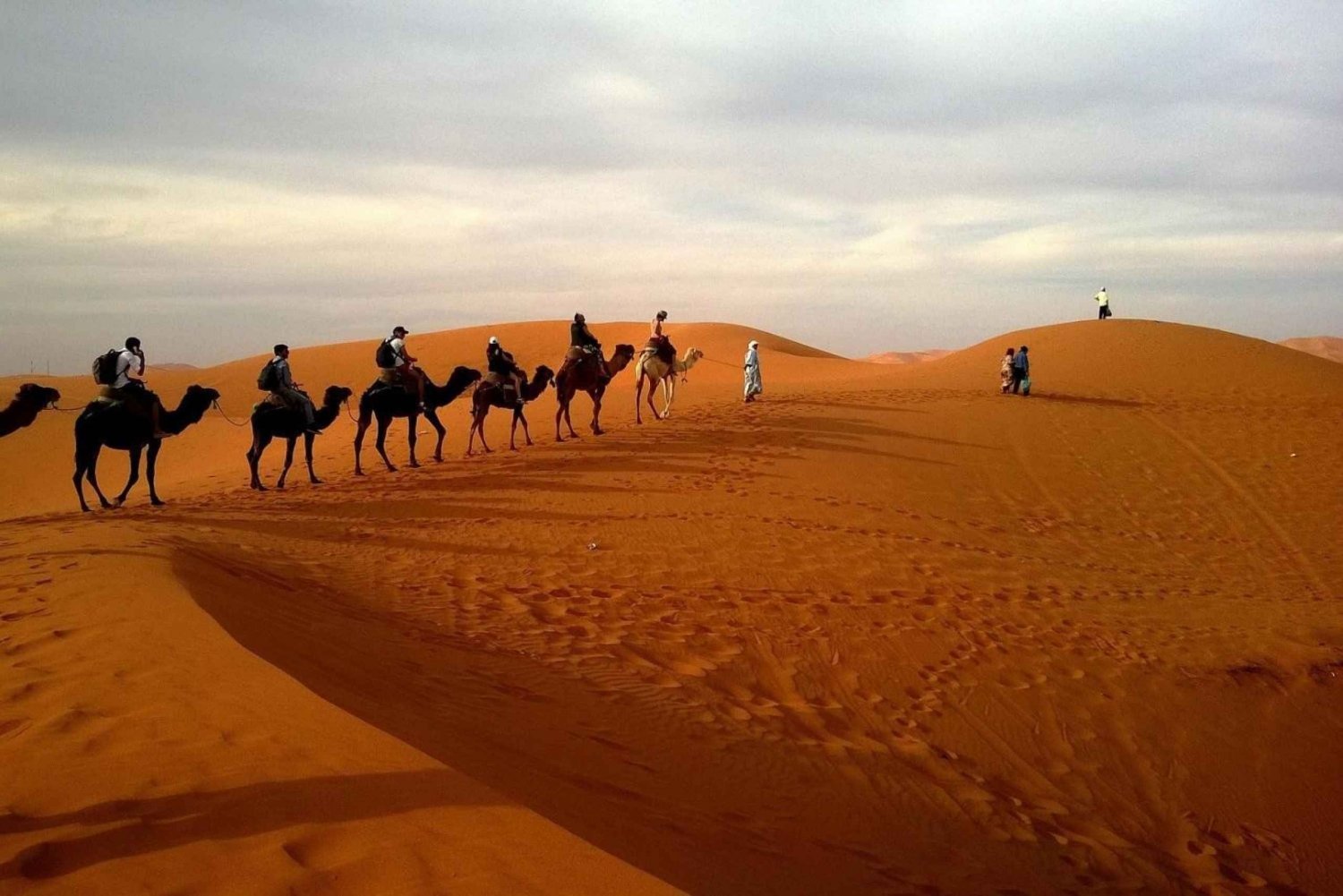 Ørken til oase-tur : Wahiba Sands til Wadi Bani Khalid