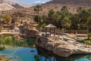 Woestijn naar Oase Tour : Wahiba zand naar Wadi Bani Khalid